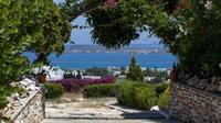 Aloe Paros Suites And Studios Drios Exterior photo
